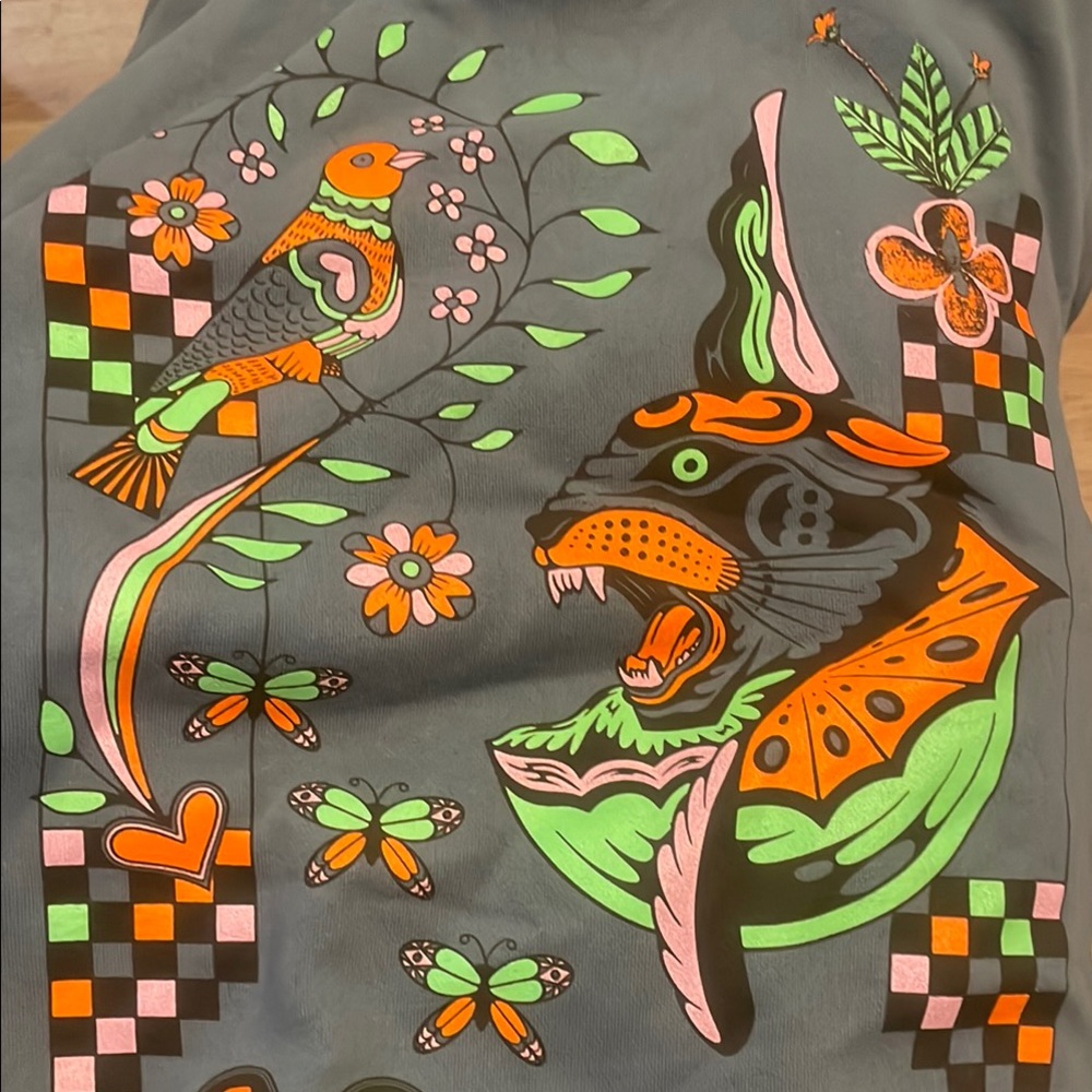 Goose the band! Hoodie super soft very new! Graphic Sweatshirt